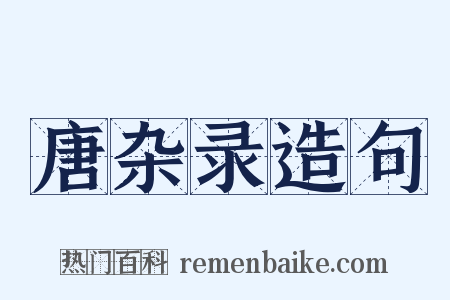 唐杂录造句是什么意思的图片